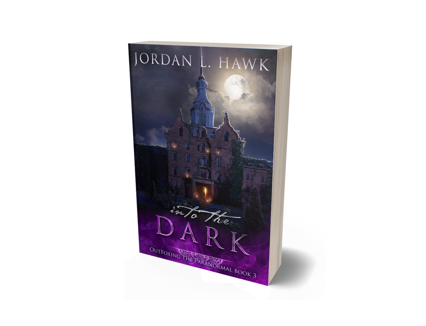 Into the Dark (OutFoxing the Paranormal 3) - PAPERBACK